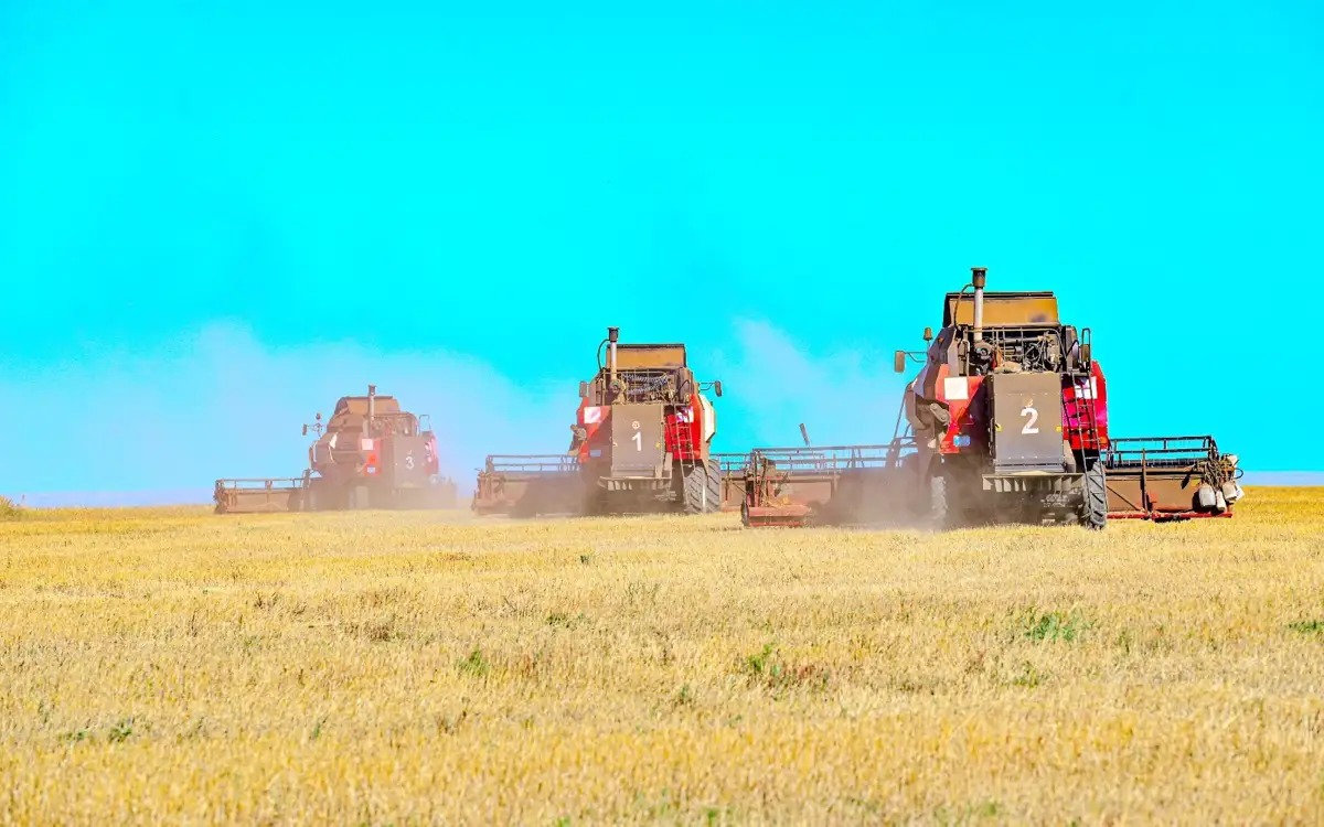 Әйелінің қара нәсілді адаммен жыныстық қатынасқа түскені туралы әуесқой бейне